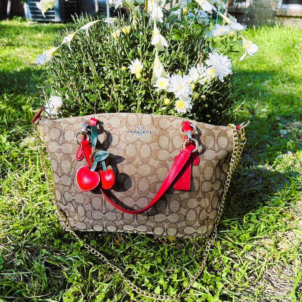 Coach Mini Kelsey Satchel Crossbody - Picture 12 of 16
